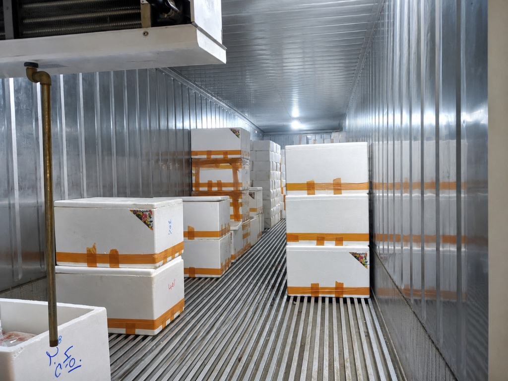 Styrofoam cargo stacking inside freezer
